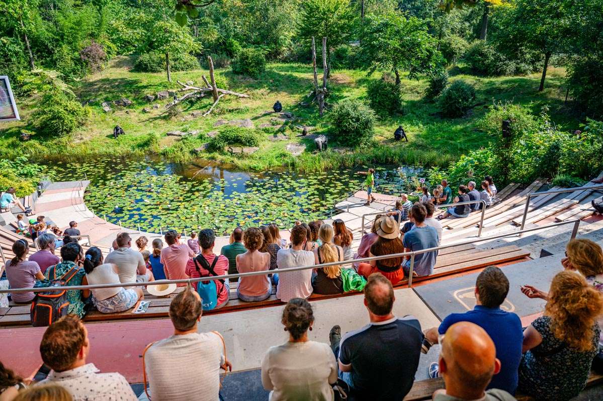Familiecontactdag 2026 Apenheul