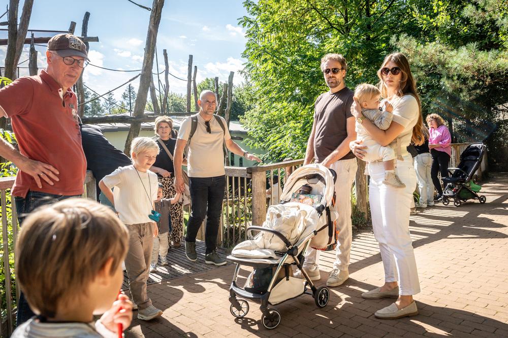 PlatformCHD_Familiedag_Apenheul_deel2_127.jpg