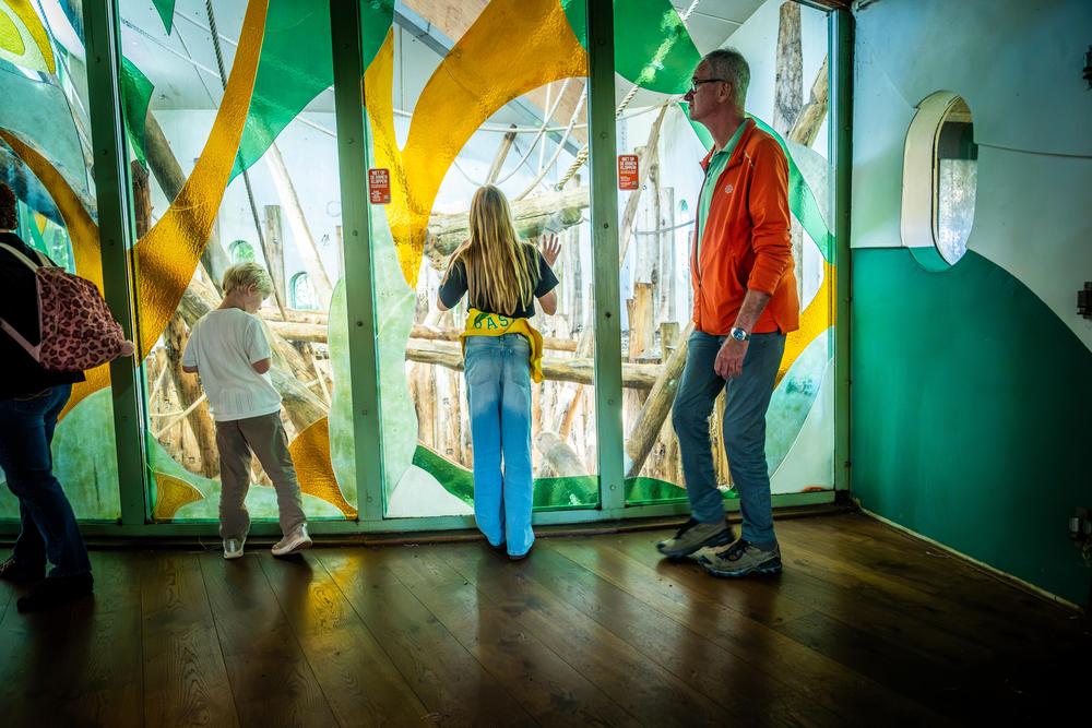PlatformCHD_Familiedag_Apenheul_deel2_32.jpg