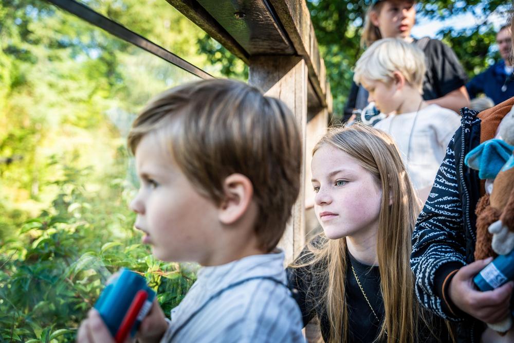 PlatformCHD_Familiedag_Apenheul_deel2_130.jpg